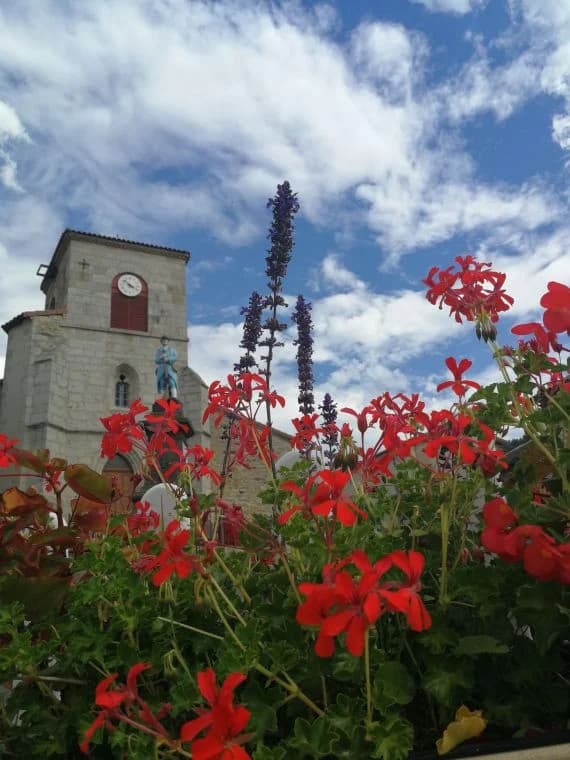 Clocher de l'église de Viscomtat, fleurs au premier plan et ciel bleu